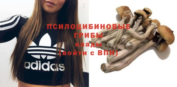 спайс Алексин