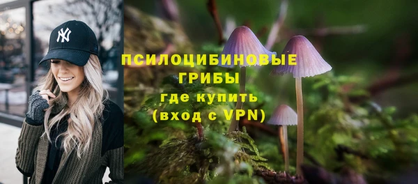 спайс Алексин